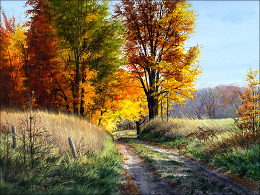 295831 (a): :1024x768